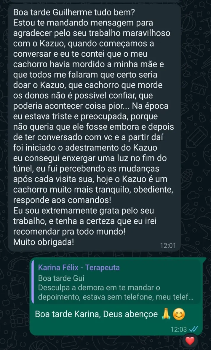 Feedback real de tutora no WhatsApp sobre o Kazuo