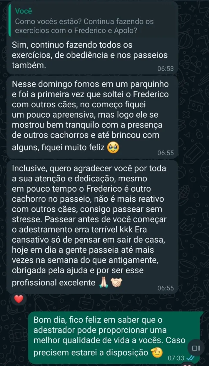 Feedback real de tutora no WhatsApp sobre o Frederico