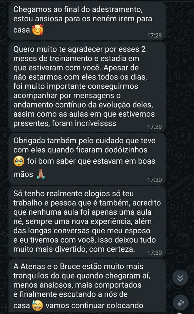 Feedback real de tutora no WhatsApp sobre a Atenas e o Bruce (2)