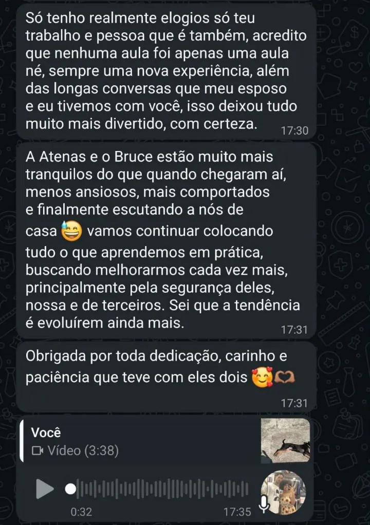 Feedback real de tutora no WhatsApp sobre a Atenas e o Bruce (3)