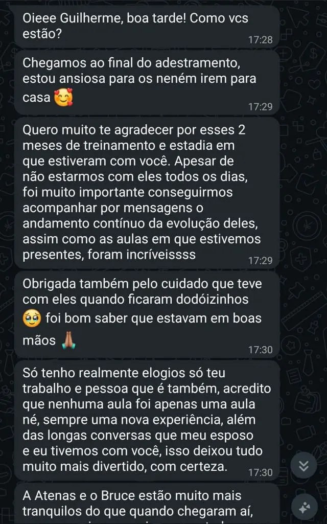Feedback real de tutora no WhatsApp sobre a Atenas e o Bruce (1)